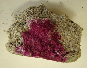 Figure from article: Concrete degradation in an...