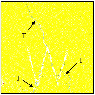 Figure from article: Uniaxial compression...